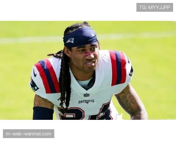 爱国者第四节完成逆转，主场击败同区对手海豚